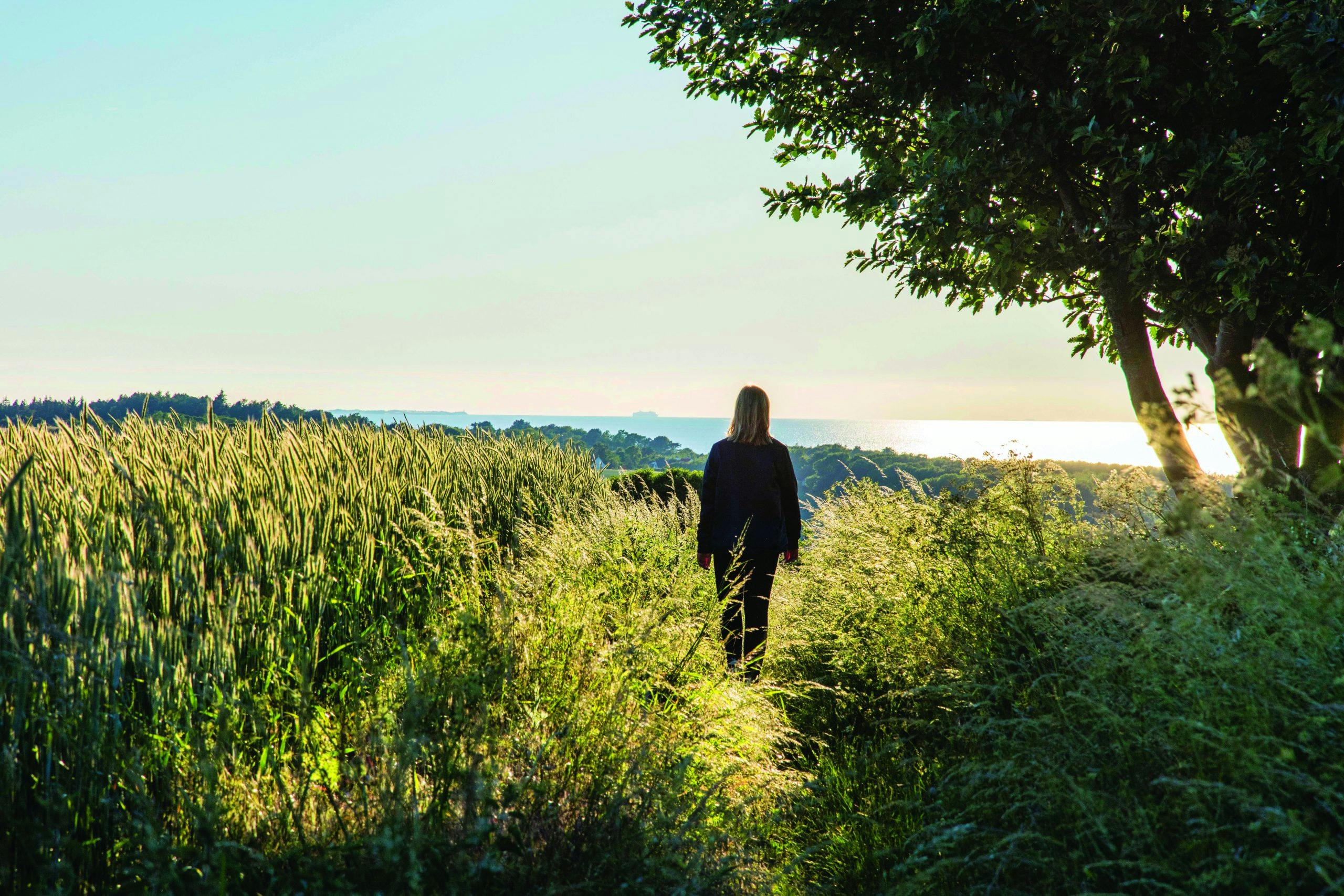 Det er i ferien du har ekstra god tid til å gå lange turer: skogstur danmark